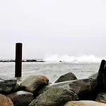 In Am Ostseestrand